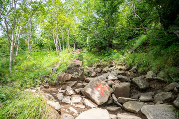 栃木県日光市の男体山に登山している風景  A view of climbing Mt. Ottai in Nikko City, Tochigi Prefecture. 