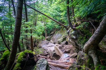 栃木県日光市の男体山に登山している風景  A view of climbing Mt. Ottai in Nikko City, Tochigi Prefecture. 