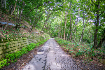 Naklejka premium 栃木県日光市の男体山に登山している風景 A view of climbing Mt. Ottai in Nikko City, Tochigi Prefecture. 