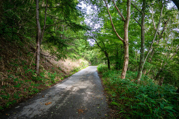 Fototapeta premium 栃木県日光市の男体山に登山している風景 A view of climbing Mt. Ottai in Nikko City, Tochigi Prefecture. 