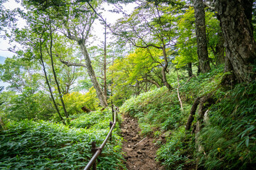 Obraz premium 栃木県日光市の男体山に登山している風景 A view of climbing Mt. Ottai in Nikko City, Tochigi Prefecture. 