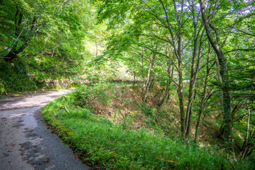 栃木県日光市の男体山に登山している風景  A view of climbing Mt. Ottai in Nikko City, Tochigi Prefecture. 