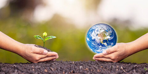 Exchange of planets in human hands and saplings in human hands-on soil concept and environmental conservation. Elements of this image furnished by NASA.