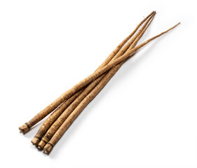 Burdock on a white background