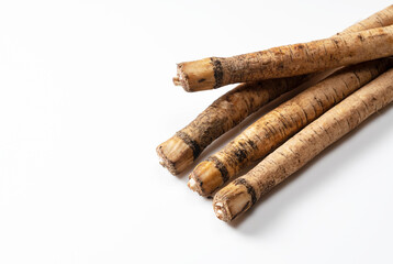 Burdock on a white background