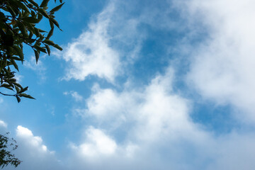 大分県玖珠郡九重町、竹田市久住町のくじゅう連山を登山している風景 A scene of climbing the Kujyu mountain range in Kusu-gun, Kokonoe-machi and Takeda-shi, Oita Prefecture. 