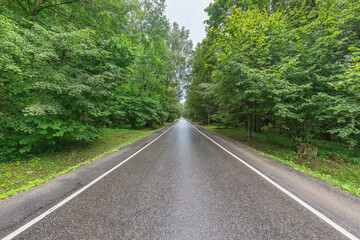Wet asphalt road in the forest.