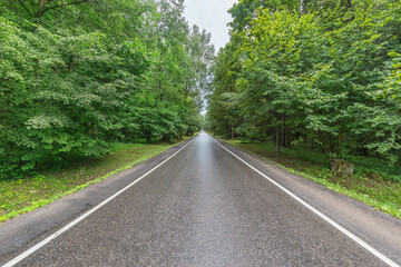 Fototapeta na wymiar Wet asphalt road in the forest.