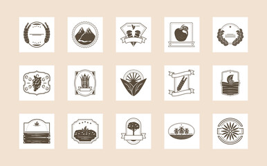 set of organic produce