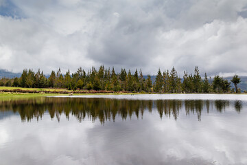 Laguna con pinos