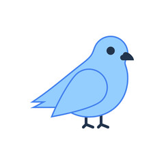 blue bird on white background