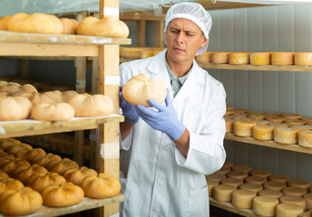 Focused man engaged in cheesemaking dressed in white uniform with cap and gloves examining quality...