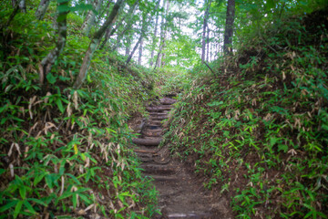 山梨県北杜市の日向山を登山している風景 A view of climbing Mount Hyuga in Hokuto City, Yamanashi Prefecture.