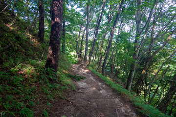 山梨県北杜市の日向山を登山している風景 A view of climbing Mount Hyuga in Hokuto City, Yamanashi Prefecture.