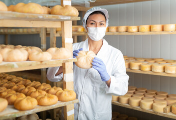 Confident woman cheesemaker wearing white robe and protective face mask checking aging process of...