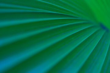 abstract green background