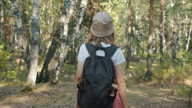 Back view of young woman walking in forest with backpack looking at beautiful view enjoying fresh air and freedom. People and tourism concept.