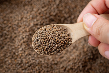 Hand holding a wooden spoon with Perilla seeds on a blurred background of Perilla seeds.