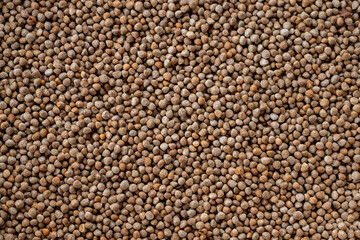 Close-up Perilla seeds are grains that can be eaten with both seeds and leaves. Healthy food concept, top view.