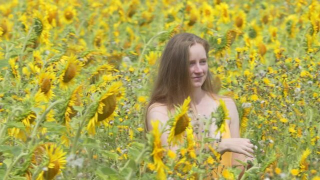A beautiful girl walks through a blooming sunflower field and adjusts her hair with her hand. Siberia. The camera is moving.