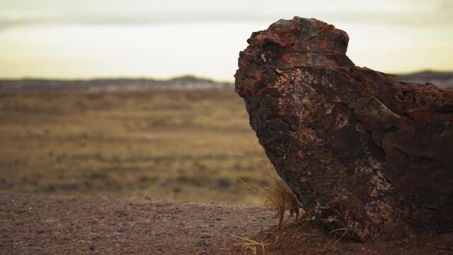Giant wood log with landscape view at Petrified Forest National Park in Arizona, panning shot