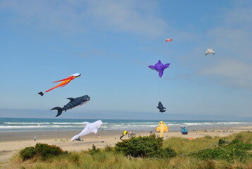 Fototapeta na wymiar Beach Kites
