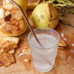The Malayan Yellow Dwarf coconut tree. Fresh Coconut Drink from the tree. Sweet and cooling on a sunny day. Note the surface oxidised without rubbing salt.