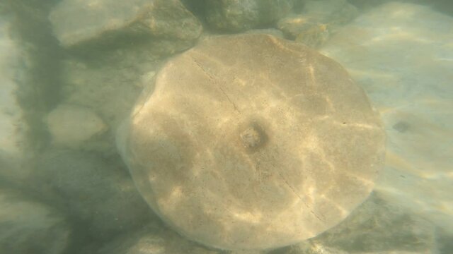 Ruins of ancient column and construction blocks of antique city Hierapolis, in Pamukkale, Turkey under water.