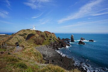 a beautiful seaside landscape with a walkway