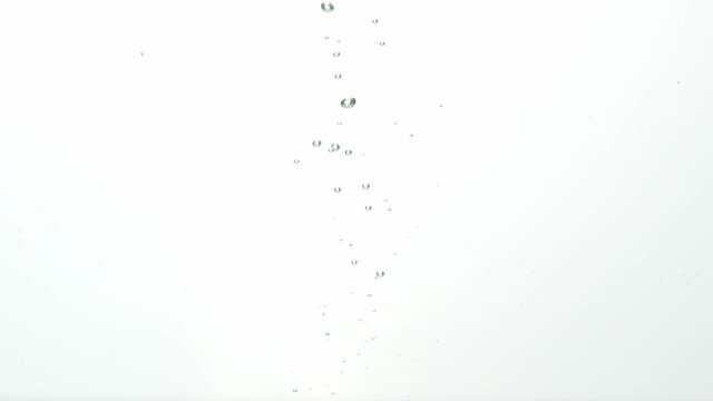 Cluster of grapes dropped into liquid with rising air bubbles, isolated white background