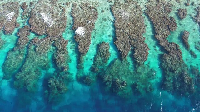 Coral reef of Utila island in Honduras. The Mesoamerican Barrier Reef. One of the most beautiful beaches of the caribbean with coral views and cristal clear water.Cinematic 4k aerial video.