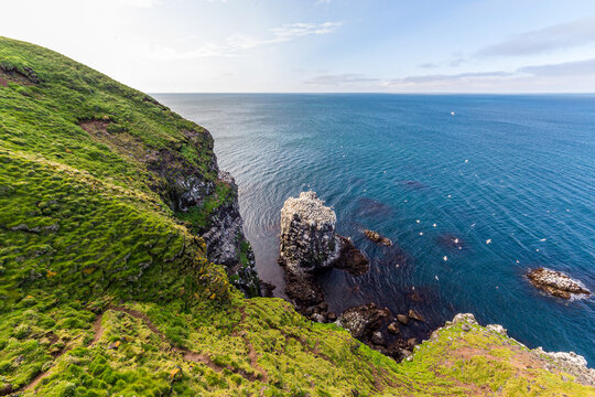 Skoruvikurbjarg vievpoint offering good view on Iceland&rsquo;s preeminent gannet nesting sites