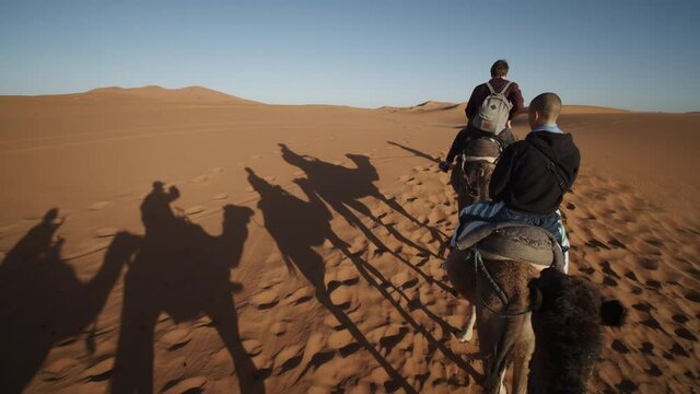 Long shadows of camel caravan on desert sand. Tourist attraction, riding on tamed animals. Morocco, Africa