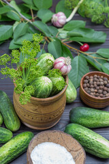 Cucumbers and dill sprigs in wooden box. Sweet peas, cherry twigs, cucumbers and  salt in coconut shell