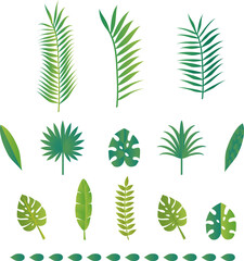 夏　葉　植物　自然　ボタニカル　南国　イラスト素材セット
