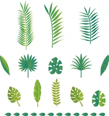 Fototapete Tropische Blätter Sommerblattpflanze Natur botanischer tropischer tropischer Illustrationsmaterialsatz