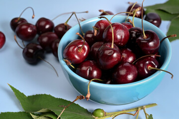 Fresh red cherries with stalks on blue background.