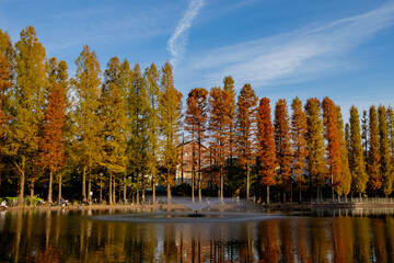 秋の公園