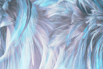 blue pink pastel color feather texture pattern background