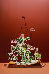 Open book with a growing magical plant with eyes, conceptual still life
