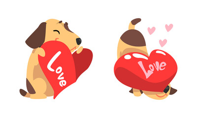 Funny Jack Russell Terrier Dog with Red Valentine Heart Vector Set