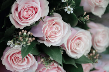 bouquet of pale pink roses close up
