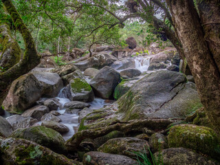River with Boulders and Surrounding Rainforest