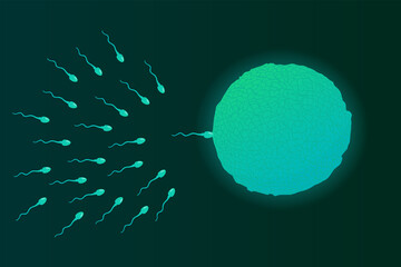 Vector illustration of a Human sperm and egg cell. - obrazy, fototapety, plakaty