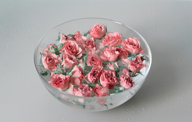 plate, red, vegetarian, Rose, water