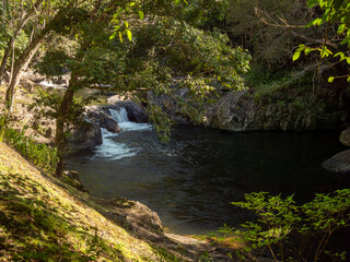 Fototapeta premium Stream with Cascades, Rocks and Tropical Rainforest