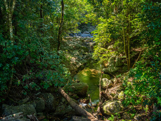 Stream with Cascades, Rocks and Tropical Rainforest