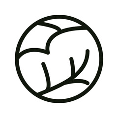 a black-and-white icon in the form of a cabbage. healthy food. the icon is suitable for the design of websites, presentations, and history