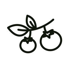 black and white icon in the form of a tomato. healthy food. the icon is suitable for the design of websites, presentations, and history
