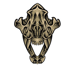 wolf skull vector illustration hand drawn